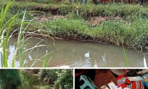 Tragedy Strikes Kariua Village: Woman's Suicide Stuns Community