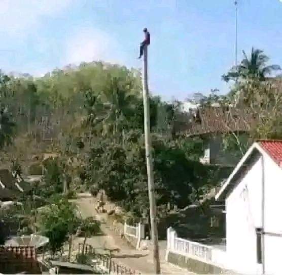 Teacher Scales Pole, Demands Salary: TSC Standoff Sparks Concern