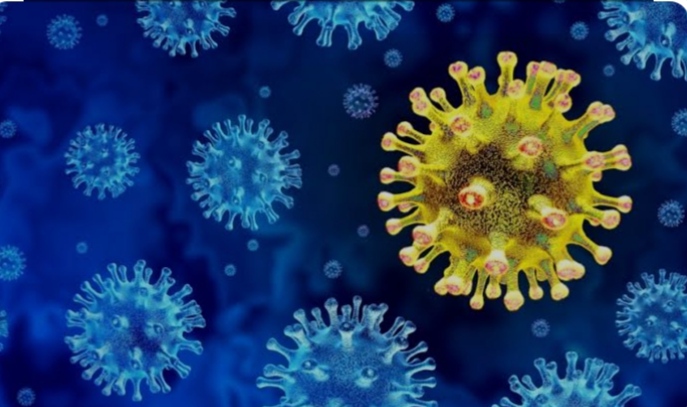 Kenya: New Covid Variant "JN1" Emerges Amid Concerns Over Swine Flu