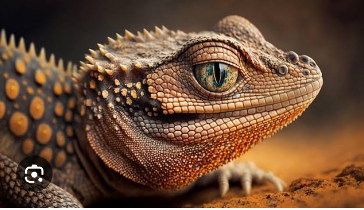 National Museum of Kenya Addresses Reptile Escape Reports.