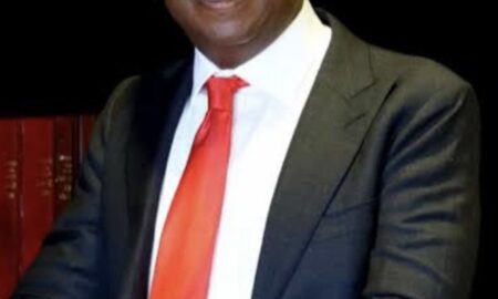 Julius Malema and the EFF's Surprising Turn: Embracing Ramaphosa Amid Political Tensions.