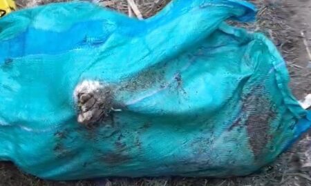 Deadly Killer Squard unmasked: Homicide Investigation Underway as Bodies are Retrieved from Kware Pit.