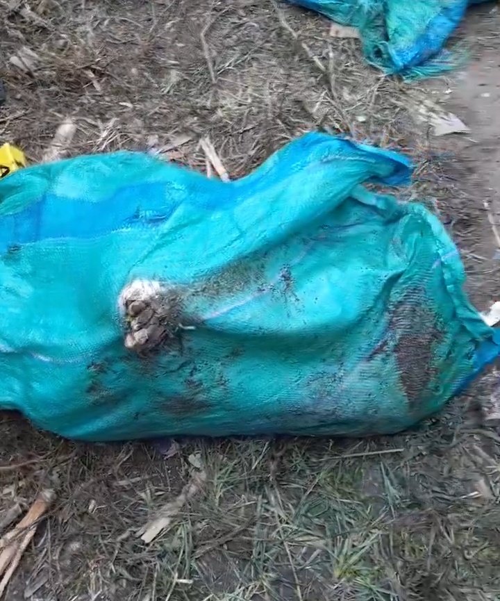 Deadly Killer Squard unmasked: Homicide Investigation Underway as Bodies are Retrieved from Kware Pit.