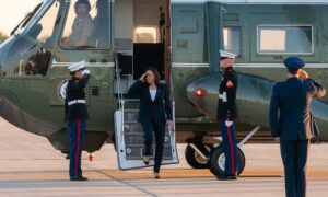 Vice President Kamala Harris Condemns Violent Protests and Associations with Hamas