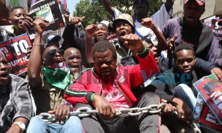 DPP Kenya Seeks 14-Day Detention for Okiya Omtatah