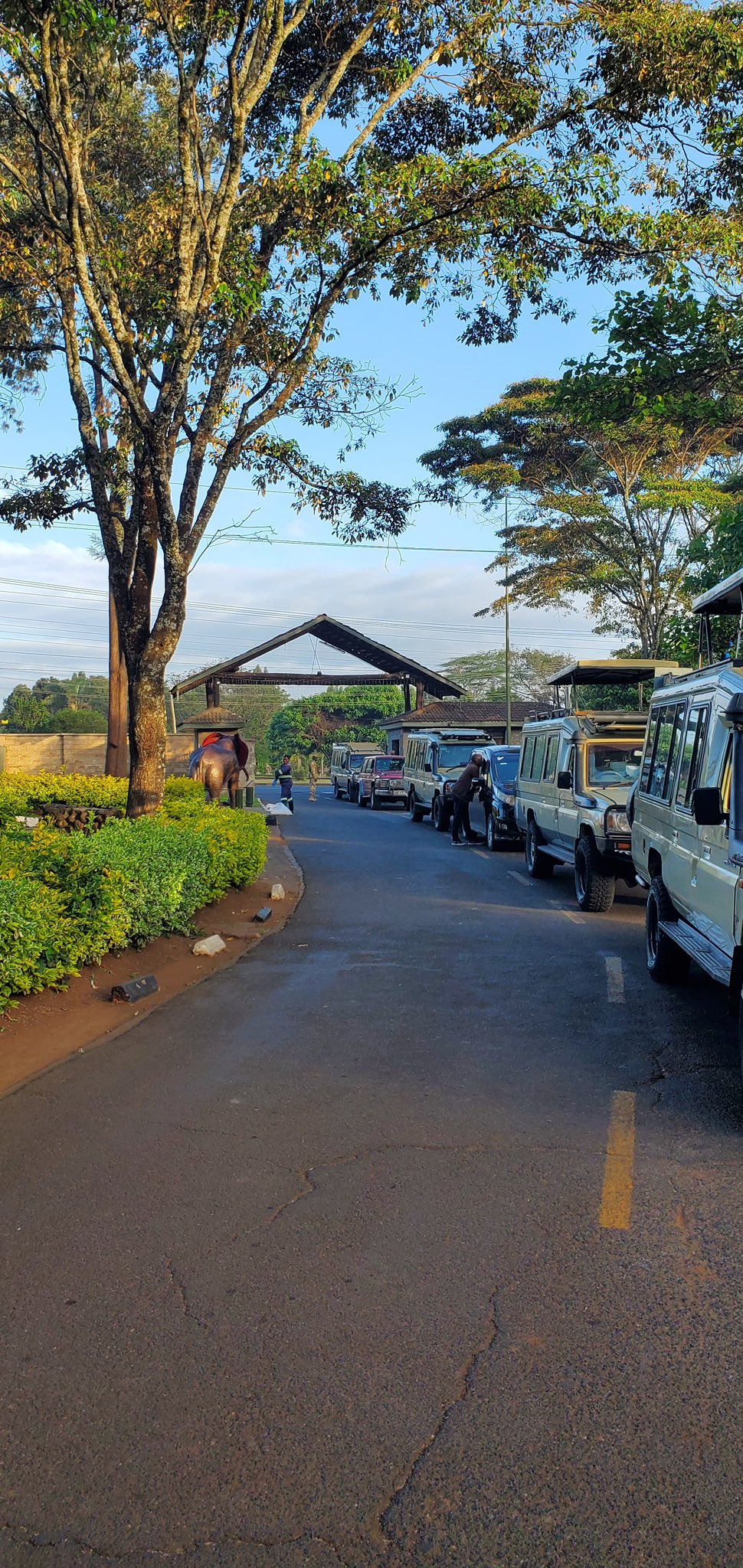 eCitizen Crash Strands Tourists at Nairobi Park