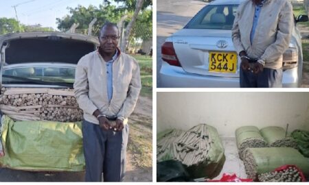 Massive Drug Bust in Mombasa: Suspect Nabbed