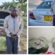 Massive Drug Bust in Mombasa: Suspect Nabbed