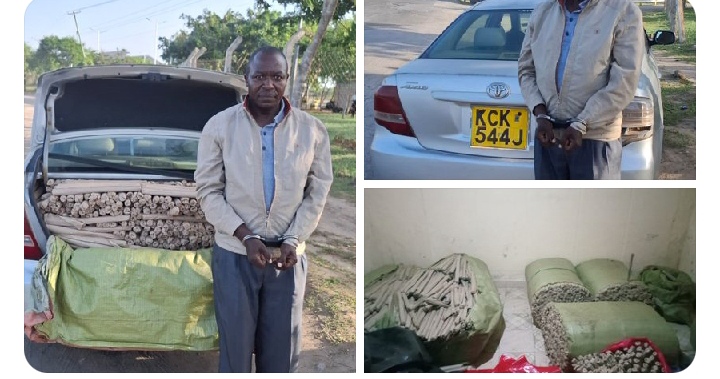 Massive Drug Bust in Mombasa: Suspect Nabbed