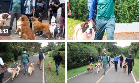 Kalonzo Musyoka Unveils Security Dogs, to Avoid Abduction