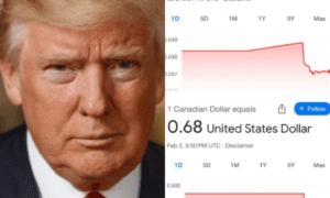 Global Markets in Freefall as Trump’s Tariffs Ignite Trade War!