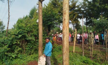 Notorious Transformer Vandal Caught Red-Handed