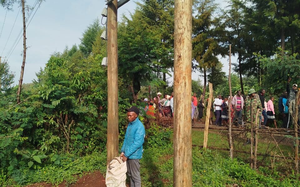 Notorious Transformer Vandal Caught Red-Handed
