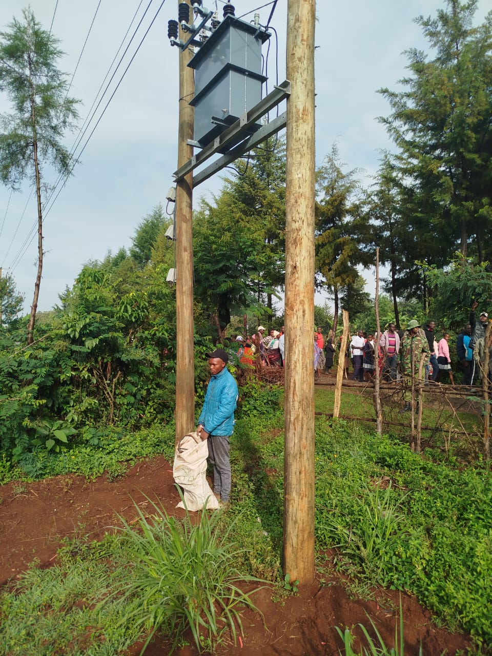 Notorious Transformer Vandal Caught Red-Handed