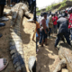 Teen Killed by Crocodile in Bomet River Shock!