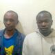 DCI Nabs Brutal Gang Behind Malaa Robbery and Rape