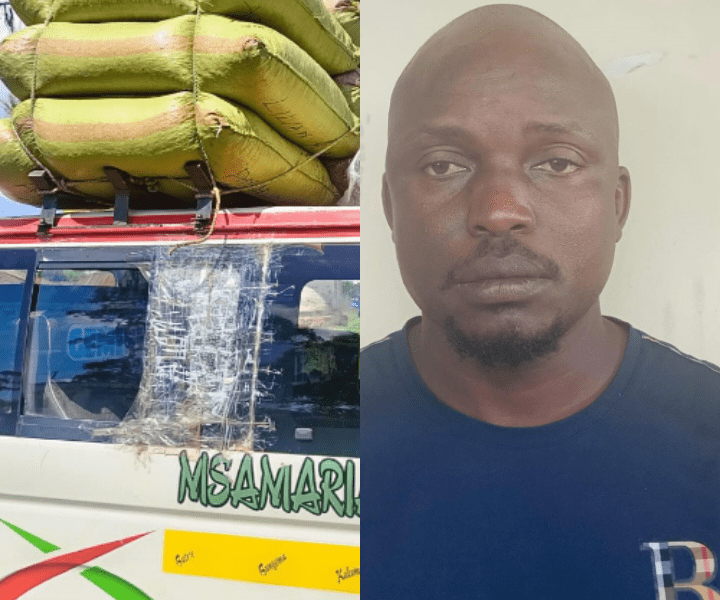 Drug Bust Shock: 401 Bhang Rolls Found in School Bus!