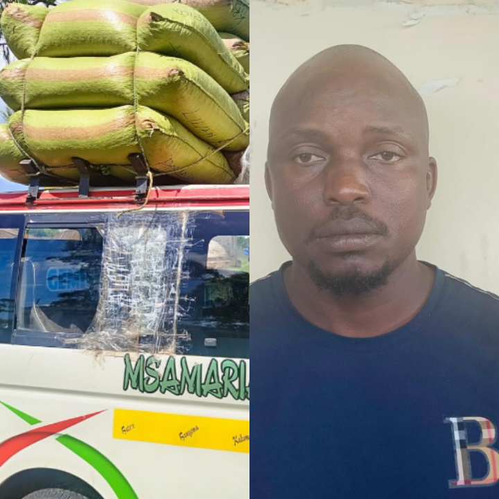 Drug Bust Shock: 401 Bhang Rolls Found in School Bus!